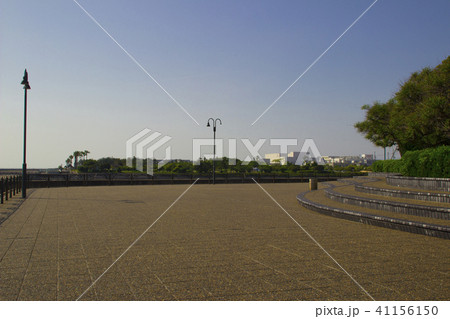二色の浜公園 市民の森 大阪府貝塚市二色の写真素材