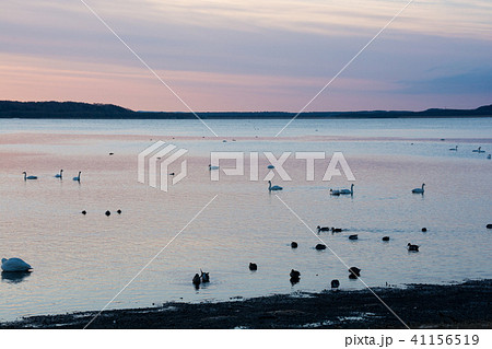 湖の夕暮れ 湖の夕暮れ 41156519