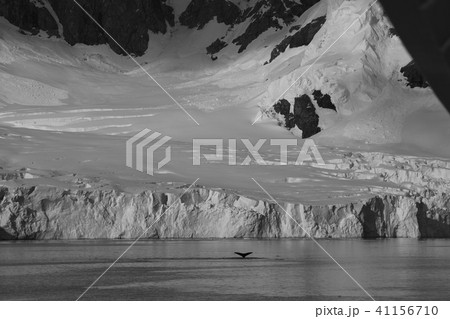 南極の風景 41156710