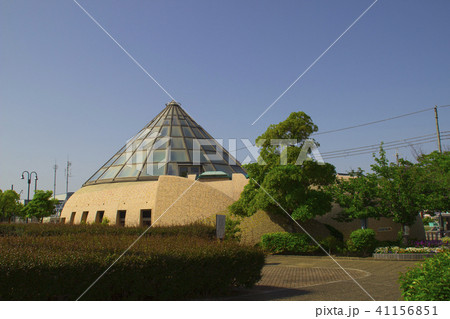 貝塚市立自然遊学館/大阪府貝塚市二色 貝塚市立自然遊学館/大阪府貝塚市二色 41156851