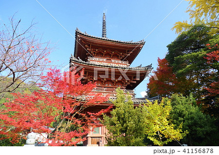 京都　秋の宝積寺 41156878