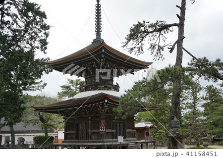 天橋立　智恩寺多宝塔 41158451