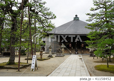 天橋立 智恩寺本堂 天橋立 智恩寺本堂 41158452