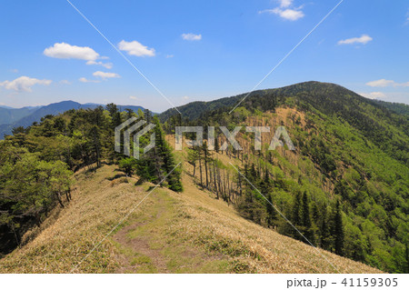 爽やかな登山道　イメージ　雁坂峠 41159305