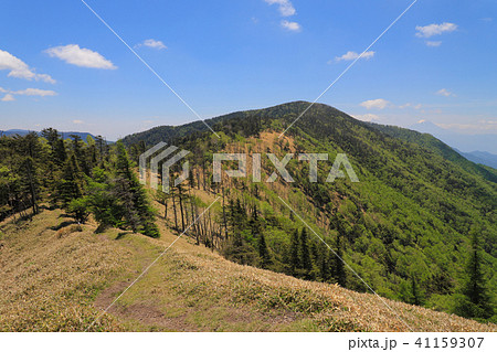 爽やかな登山道 イメージ 爽やかな登山道 イメージ 41159307