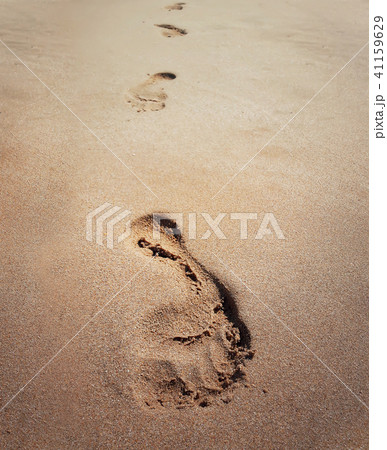 Footprints 41159629