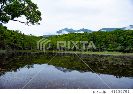 世界遺産 知床の風景 知床五湖 世界遺産 知床の風景 知床五湖 41159791