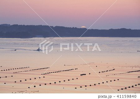 《宮城県》 南三陸 志津川湾 《宮城県》 南三陸 志津川湾 41159840