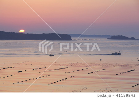 《宮城県》 南三陸 志津川湾 《宮城県》 南三陸 志津川湾 41159843