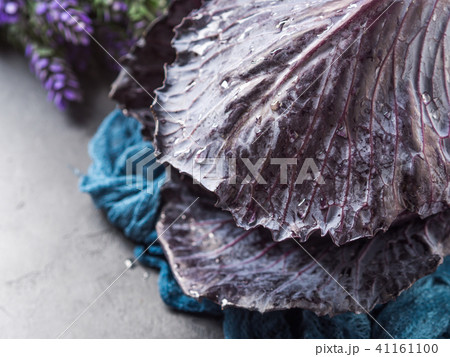 Purple cabbage with water drops 41161100