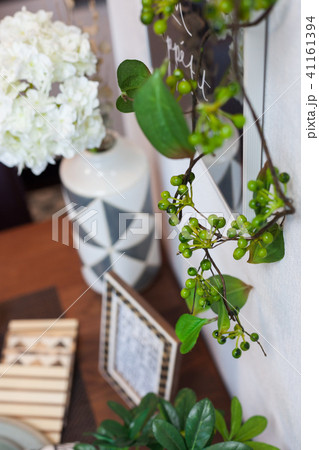 室内の植物(イミテーション) 室内の植物(イミテーション) 41161394