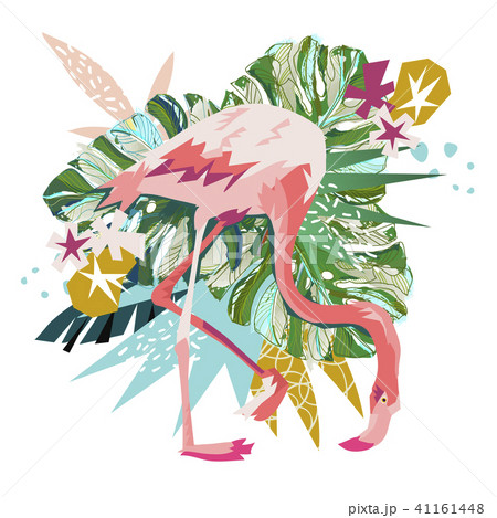 Pink flamingo illustration isolated on white background. 41161448