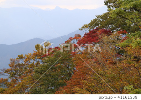 大台ケ原 41161539