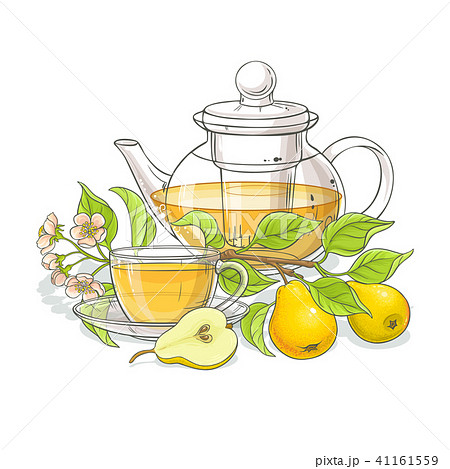 pear tea illustration 41161559