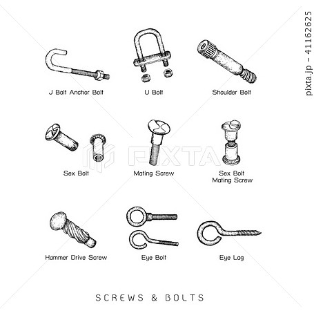 Hand Drawn Sketch of Screw Types Set 41162625