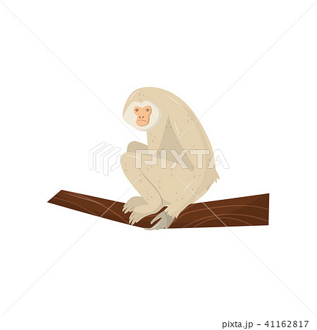 Beige Gibbon Sitting On Wooden Branch Wild のイラスト素材