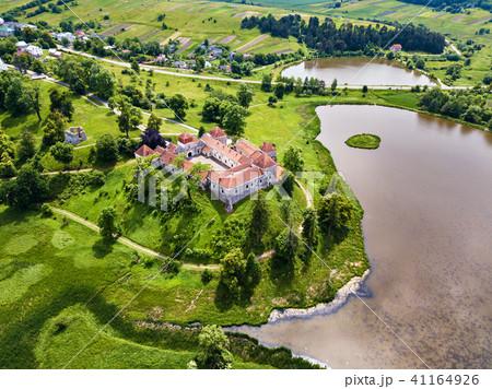 Aerial view of Svirzh Castle. Summer park and lake 41164926
