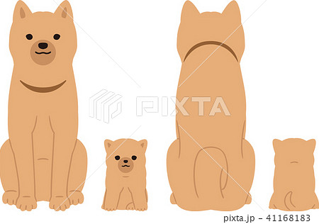 子犬と親犬 正面 背中 のイラスト素材