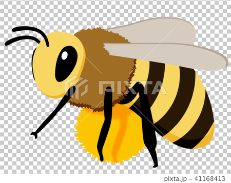 一隻蜜蜂 一隻蜜蜂 41168413