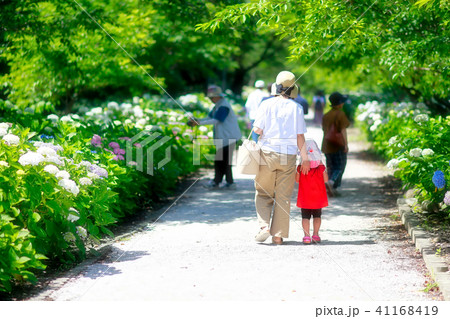 散歩 散歩 41168419