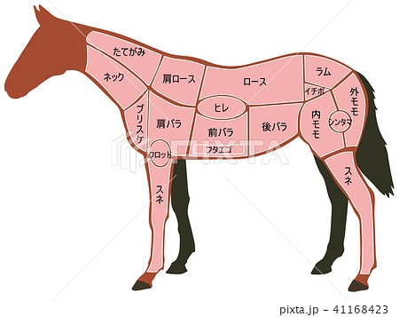 馬肉の部位のイラスト素材