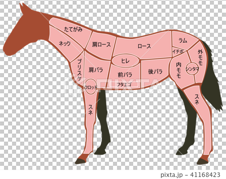 馬肉の部位 41168423