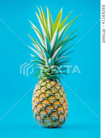 pineapple, tropical Thai fruit on blue background pineapple, tropical Thai fruit on blue background 41169268