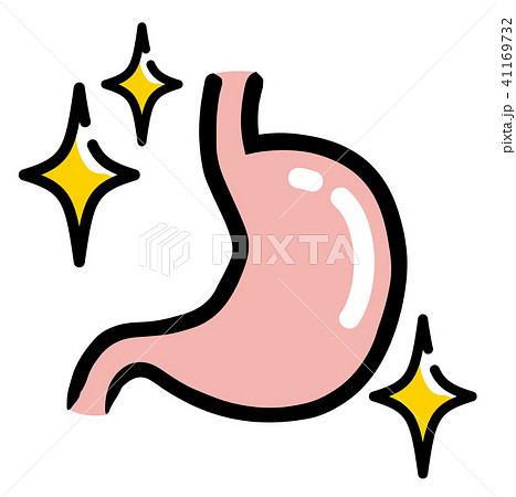 きれいな内臓 胃のイラスト素材
