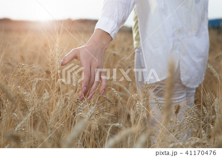 Serene girl touching ears of wheat on field  41170476