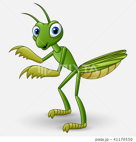 Cute cartoon mantis on white background Cute cartoon mantis on white background 41170550
