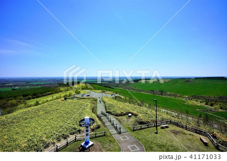 春の開陽台　中標津町 41171033