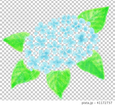 あじさい あじさい 41172737