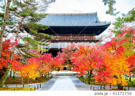 京都 南禅寺 三門と紅葉 41172750