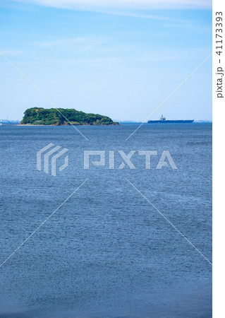 横須賀 猿島 41173393