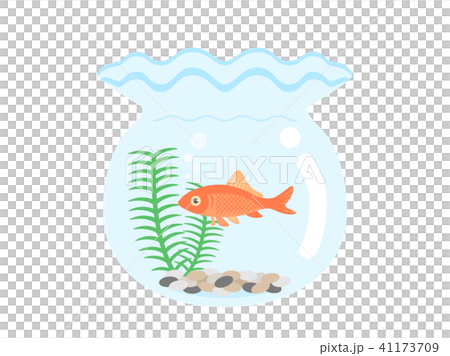 金魚鉢 金魚鉢 41173709