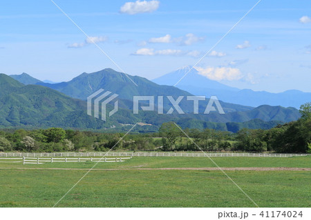 清泉寮からの富士山 41174024