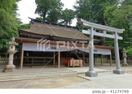 鹿島神宮　社殿 41174799