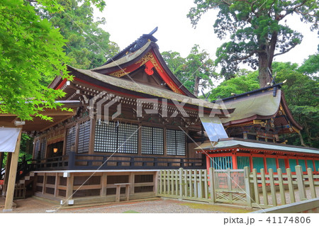 鹿島神宮　社殿 41174806