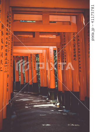 Fushimi Inari Taisha torii, Kyoto, Japan Fushimi Inari Taisha torii, Kyoto, Japan 41175781