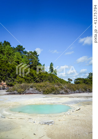 Green lake in Waiotapu, Rotorua, New Zealand Green lake in Waiotapu, Rotorua, New Zealand 41175794
