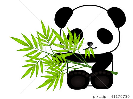 パンダ 笹 食べるのイラスト素材