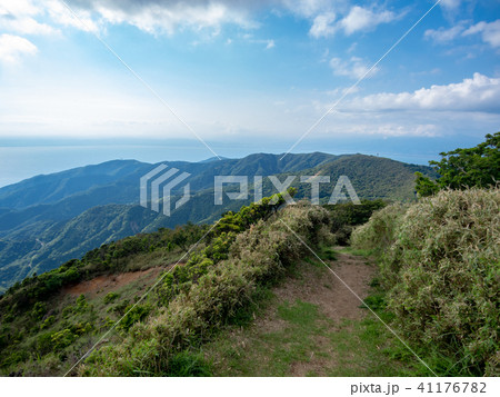 【伊豆】初夏の高原風景【伊豆山稜線歩道・だるま山周辺】 41176782