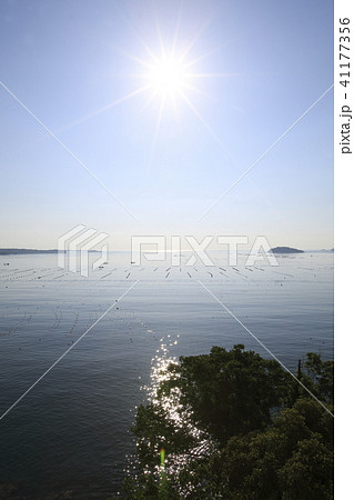 《宮城県》　南三陸　志津川湾 41177356