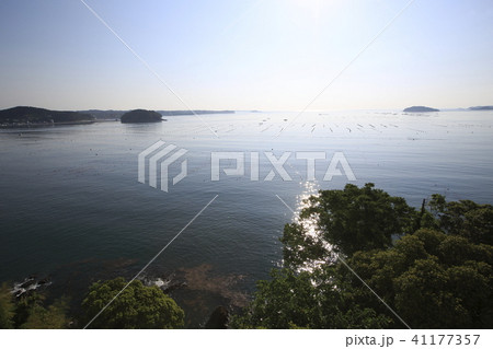 《宮城県》 南三陸 志津川湾 《宮城県》 南三陸 志津川湾 41177357