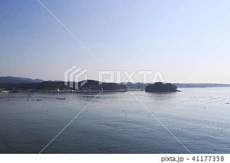 《宮城県》　南三陸　志津川湾 41177358