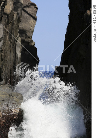 《宮城県》 初夏の神割崎(三陸復興国立公園) 《宮城県》 初夏の神割崎(三陸復興国立公園) 41178899