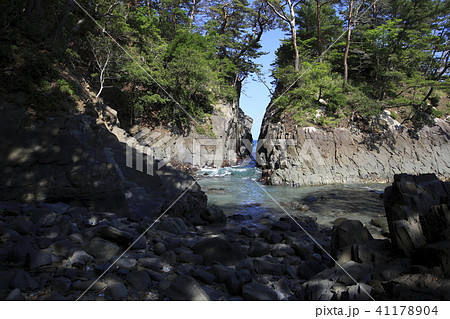 《宮城県》　初夏の神割崎（三陸復興国立公園） 41178904