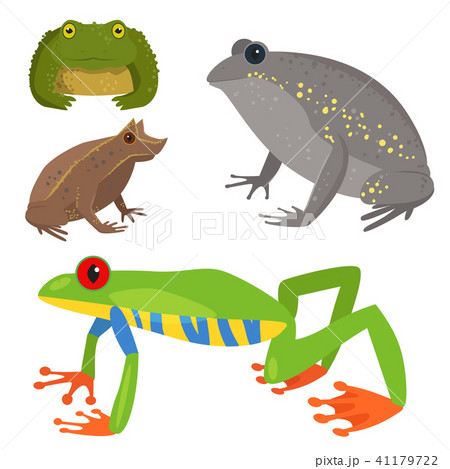 Frog vector cartoon tropical wildlife animal green froggy nature funny illustration toxic toad 41179722