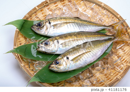 アジ 食材 魚の写真素材
