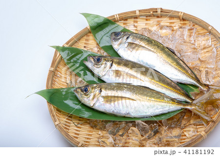 アジ 食材 魚 アジ 食材 魚 41181192